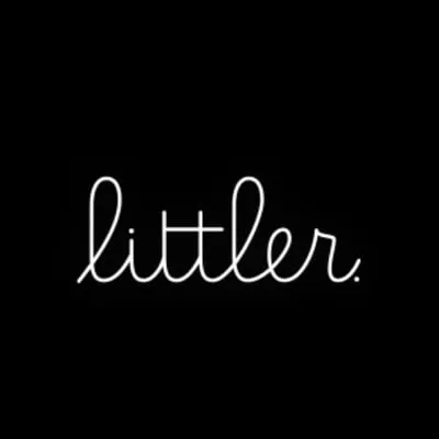 46726 littler diecast community