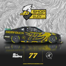 /img/46845-nascar-diecast-collector-items.webp